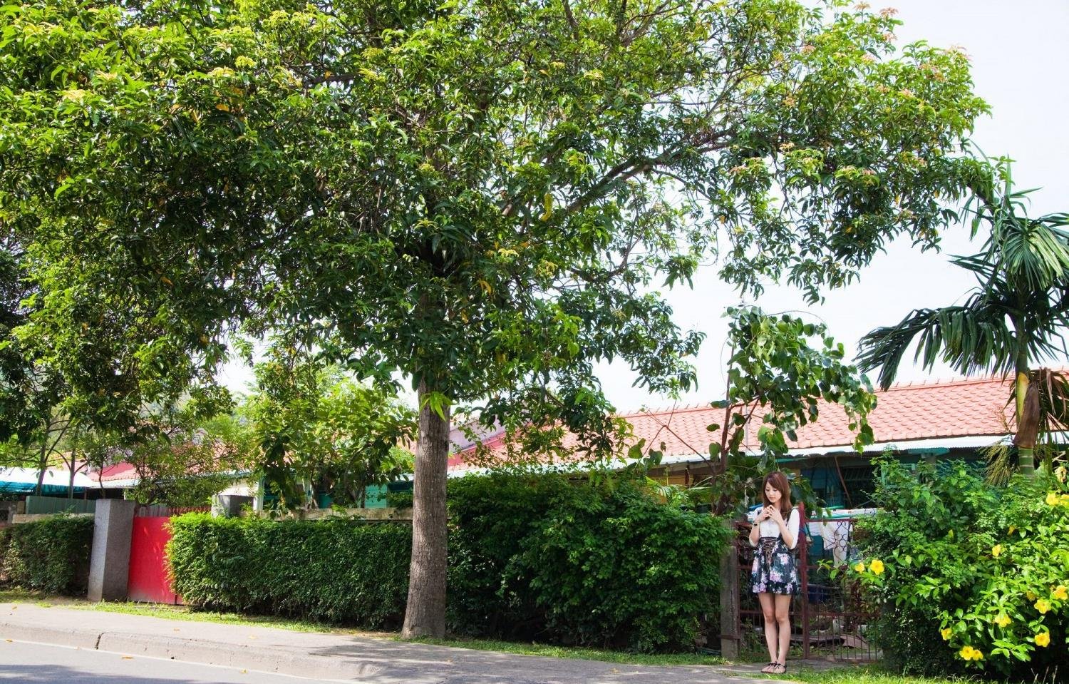 ������С��Ϸ